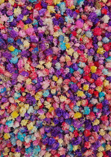 *Limited Edition* Dry Baby's Breath Confetti - Rainbow