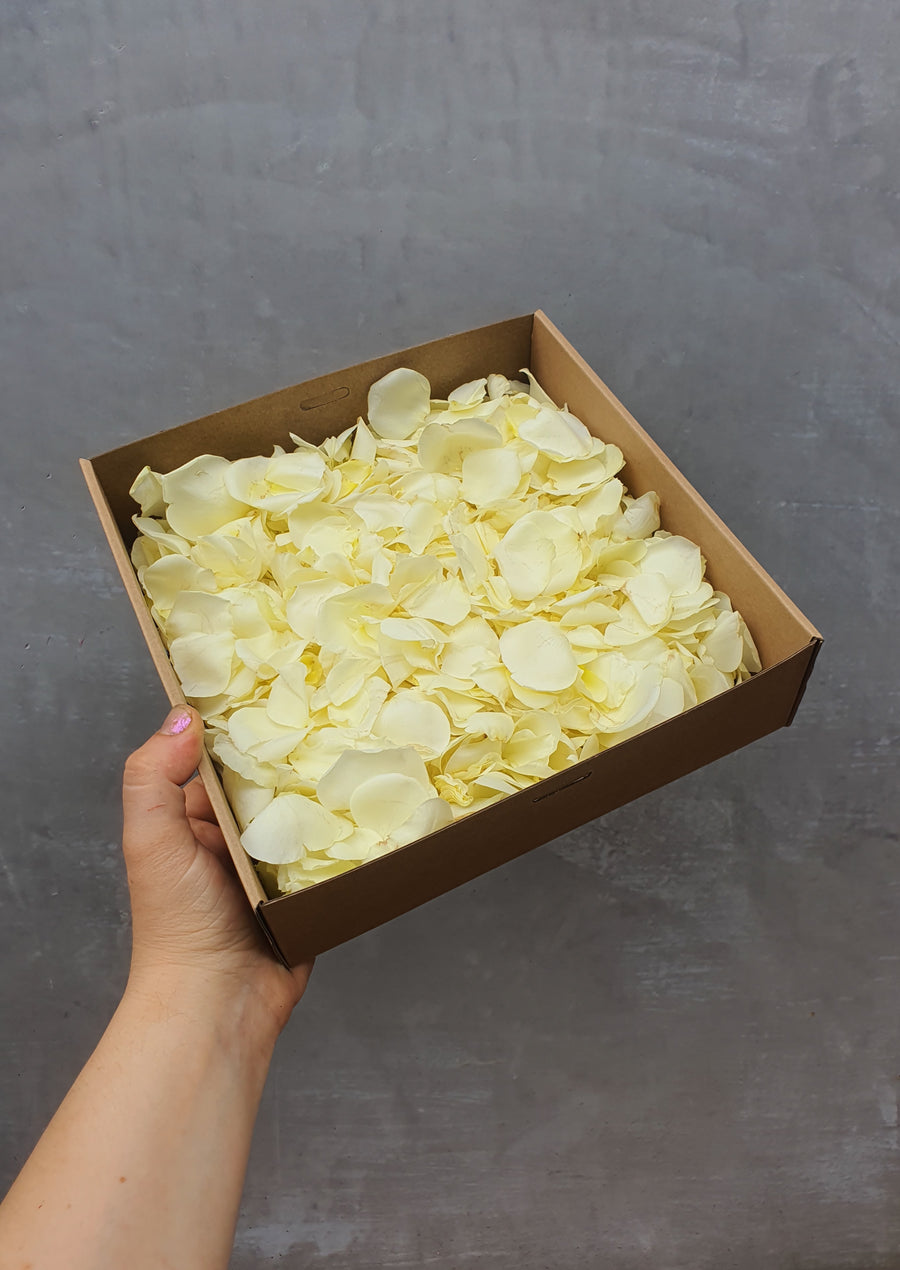 Fresh Spray Rose Petal Confetti