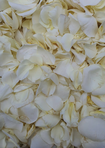 Fresh Spray Rose Petal Confetti