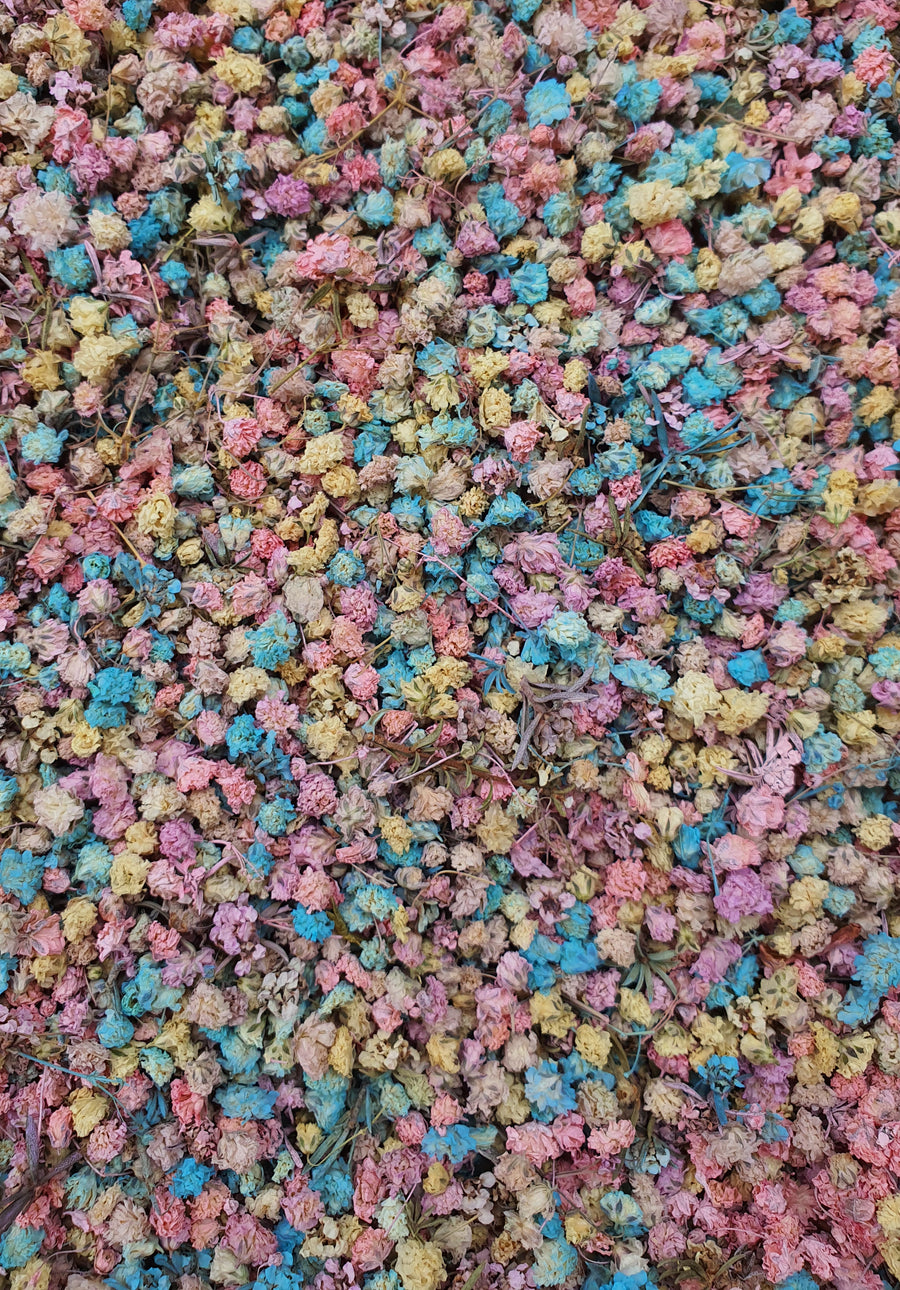 *Limited Edition* Dry Baby's Breath Confetti - Pastel Dreams