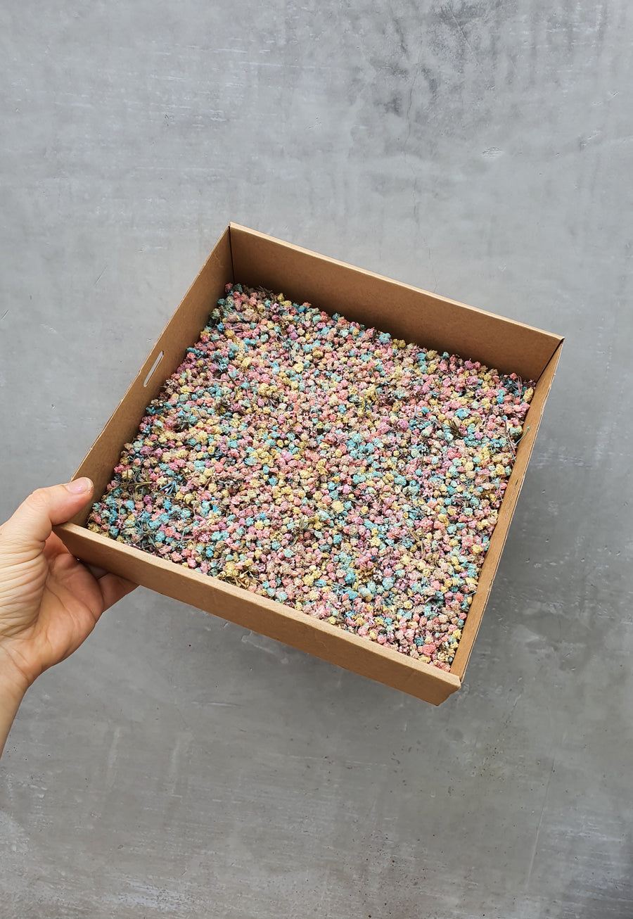 *Limited Edition* Dry Baby's Breath Confetti - Pastel Dreams