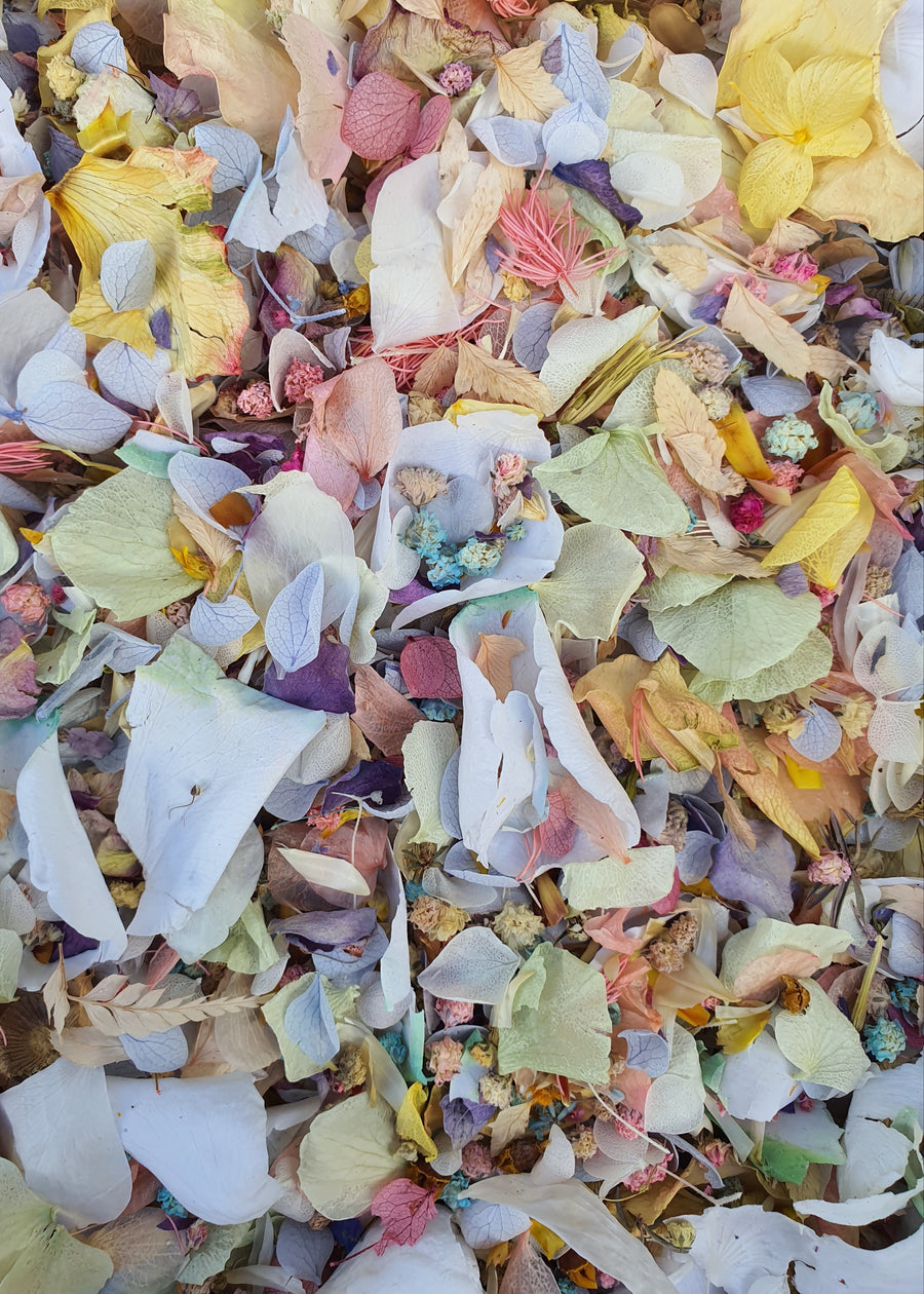 Preserved Mixed Flower Confetti - Vintage Pastels