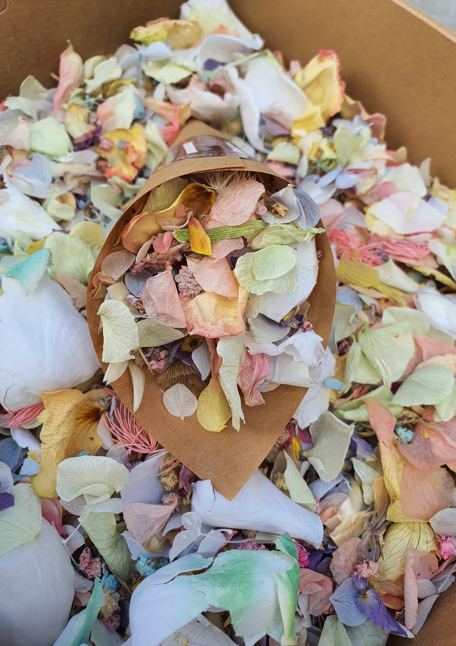 Preserved Mixed Flower Confetti - Vintage Pastels