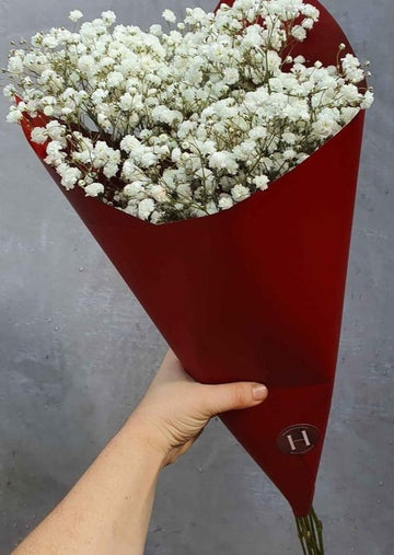 Fresh Babys Breath Bundles - White